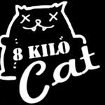 8-Kilo Cat Jams on Saturday Night