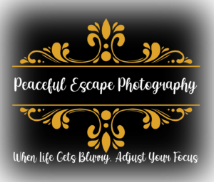 peaceful escape photography